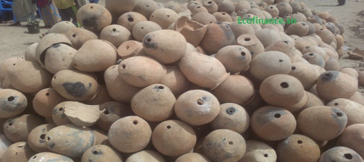 Ces vases ou pouts troués servent de nid pour les poulpes de se reproduire. Ces vases ou pouts troués servent de nid pour les poulpes de se reproduire.