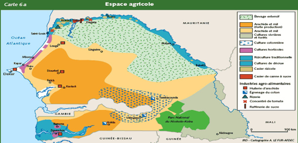 Cette carte du Sénégal montre les différentes zones agricoles, mais les statistiques pose un sérieux problème aux partenaires au développement. Cette carte du Sénégal montre les différentes zones agricoles, mais les statistiques pose un sérieux problème aux partenaires au développement.