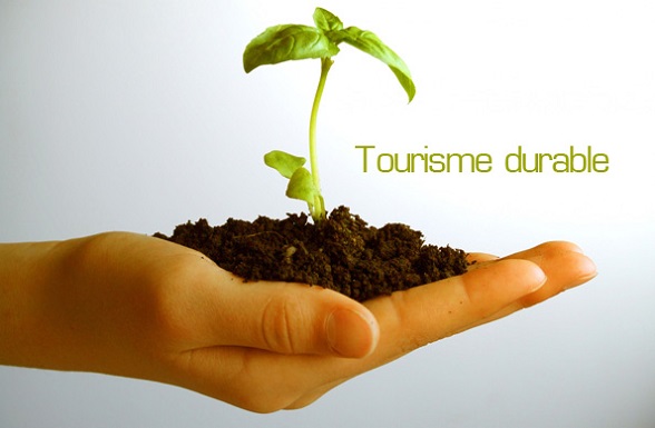 L’Omt se concentre sur la durabilité et le tourisme en Afrique et dans la région du Moyen-Orient.