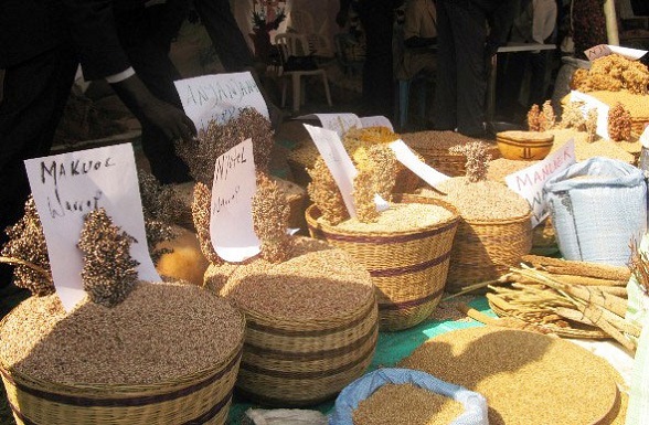 L’Indice des prix des produits alimentaires reste stable en décembre malgré une forte baisse des prix du sucre. L’Indice des prix des produits alimentaires reste stable en décembre malgré une forte baisse des prix du sucre.