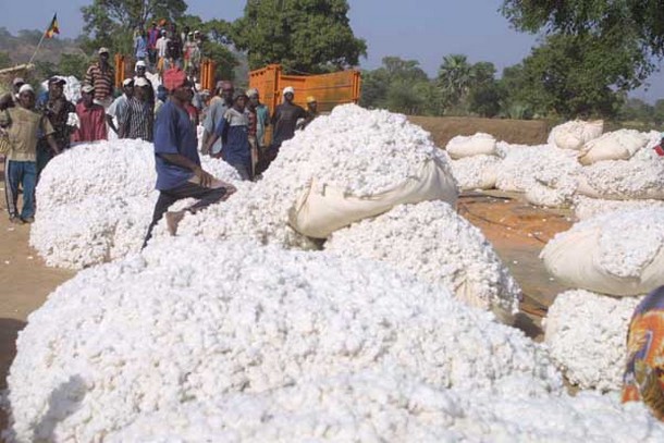 Compagnie Malienne pour le Développement des Textiles : Une arme pour lutter contre la pauvreté au Mali Compagnie Malienne pour le Développement des Textiles : Une arme pour lutter contre la pauvreté au Mali