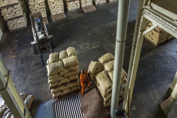 Côte d’Ivoire : un syndicat de planteurs va attaquer en justice le Conseil café-cacao Côte d’Ivoire : un syndicat de planteurs va attaquer en justice le Conseil café-cacao