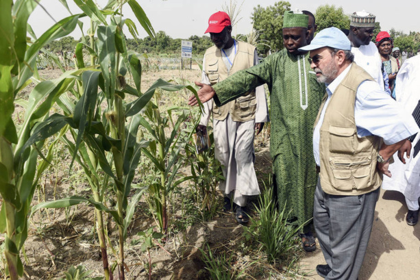 Bassin du lac Tchad : La FAO préconise des investissements dans l'agriculture Bassin du lac Tchad : La FAO préconise des investissements dans l'agriculture