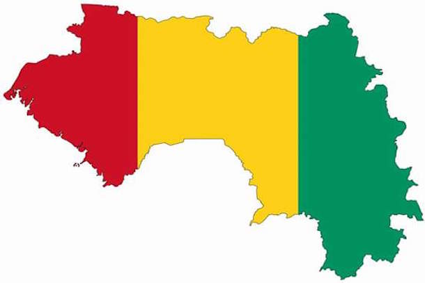 Un an après Ebola, la Guinée sur les rails de la croissance Un an après Ebola, la Guinée sur les rails de la croissance