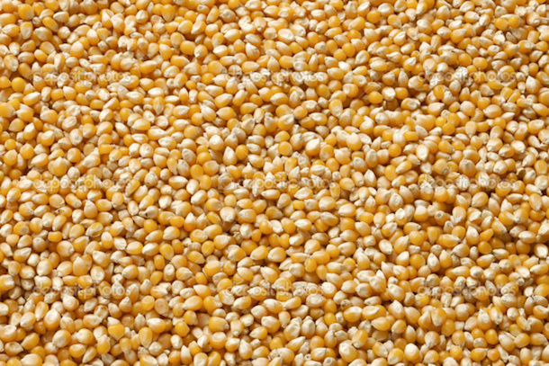 Sénégal : Hausse du prix du kilogramme de farine de blé et du mais séché