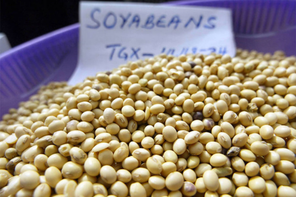 Alimentation: une croissance ralentie de la demande devrait maintenir les prix alimentaires à un bas niveau Alimentation: une croissance ralentie de la demande devrait maintenir les prix alimentaires à un bas niveau