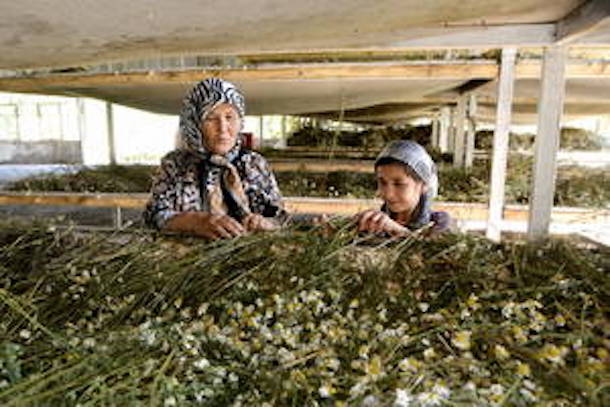 Les pays en développement invités à tirer profit des normes alimentaires internationales Les pays en développement invités à tirer profit des normes alimentaires internationales