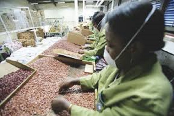 Vers de nouvelles normes internationales de sécurité alimentaire Vers de nouvelles normes internationales de sécurité alimentaire