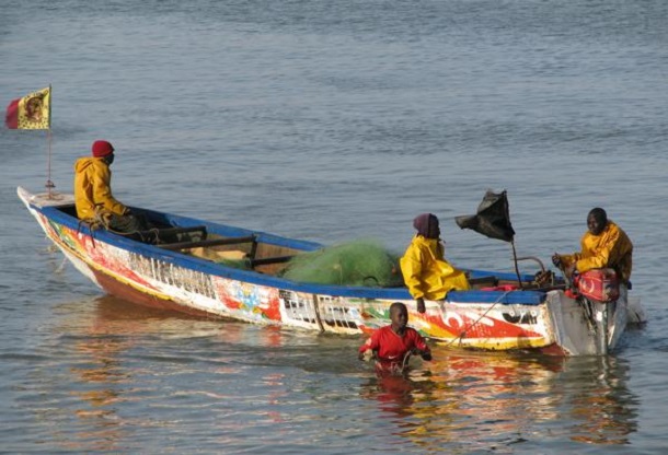 DÉVELOPPEMENT DE LA PÈCHE ARTISANALE : L’Etat débloque 20 milliards pour équiper 20 000 pirogues artisanales de moteur DÉVELOPPEMENT DE LA PÈCHE ARTISANALE : L’Etat débloque 20 milliards pour équiper 20 000 pirogues artisanales de moteur