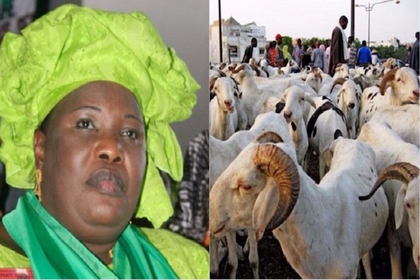 Aminata Mbengue Ndiaye : «les moutons arriveront d’ici 2 jours» Aminata Mbengue Ndiaye : «les moutons arriveront d’ici 2 jours»