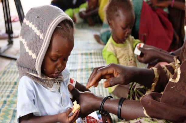 Alimentation : La malnutrition représente un coût insupportable pour l’Afrique Alimentation : La malnutrition représente un coût insupportable pour l’Afrique