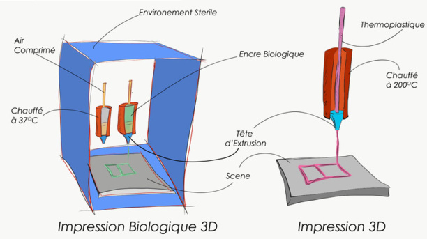 La prochaine révolution pharmaceutique pourrait sortir d'une imprimante 3D