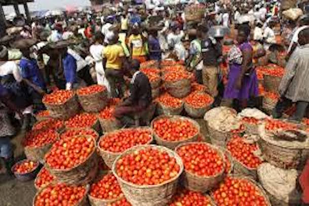 Afrique : éliminer les pertes post-récoltes pour mettre un terme à la faim Afrique : éliminer les pertes post-récoltes pour mettre un terme à la faim