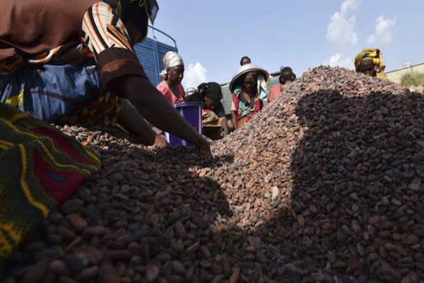 Côte d'Ivoire: du cacao illégal fourni aux grands noms du chocolat Côte d'Ivoire: du cacao illégal fourni aux grands noms du chocolat