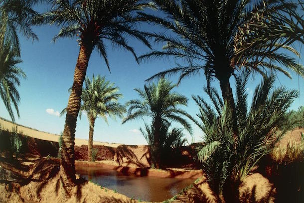 L'Algérie veut relancer le tourisme, notamment le circuit des oasis L'Algérie veut relancer le tourisme, notamment le circuit des oasis