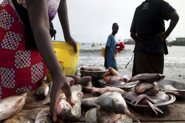 Sénégal : la pêche dans le peloton des secteurs pourvoyeurs de devises Sénégal : la pêche dans le peloton des secteurs pourvoyeurs de devises