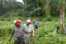 Marché du travail : Le taux d’emploi plus élevé en milieu urbain que rural Marché du travail : Le taux d’emploi plus élevé en milieu urbain que rural