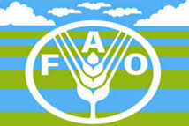 La Journée mondiale de l’alimentation célébrée le 16 octobre La Journée mondiale de l’alimentation célébrée le 16 octobre