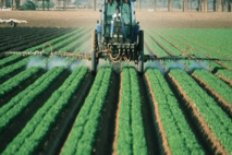 OCDE  : pour une industrialisation «propre» de l'Afrique