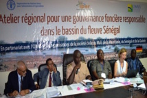 BASSIN DU FLEUVE SENEGAL : VERS UNE CHARTE FONCIÈRE