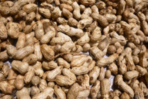 Nuages sur la campagne arachidière : la Copega menace de se retirer si… Nuages sur la campagne arachidière : la Copega menace de se retirer si…