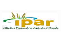 Agriculture : Une étude de l’IPAR sur le foncier publié Agriculture : Une étude de l’IPAR sur le foncier publié