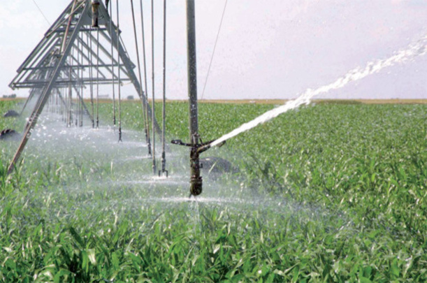 ENVIRONNEMENT : L’Afd et le Fonds vert climat signent un accord-cadre ENVIRONNEMENT : L’Afd et le Fonds vert climat signent un accord-cadre