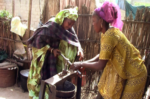 Budget 2018 : 64,06 milliards de F Cfa aux femmes