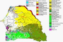 Matam recèle un potentiel minier intéressant Matam recèle un potentiel minier intéressant