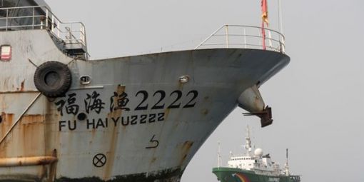 Pêche Afrique de l'Ouest : la Chine retire les licences des compagnies impliquées dans des activités illégales (Communiqué) Pêche Afrique de l'Ouest : la Chine retire les licences des compagnies impliquées dans des activités illégales (Communiqué)