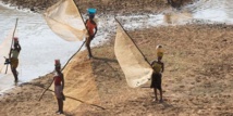 Côte d'Ivoire  : les pays de l'Union du fleuve Mano lancent un projet de gestion des ressources en eau