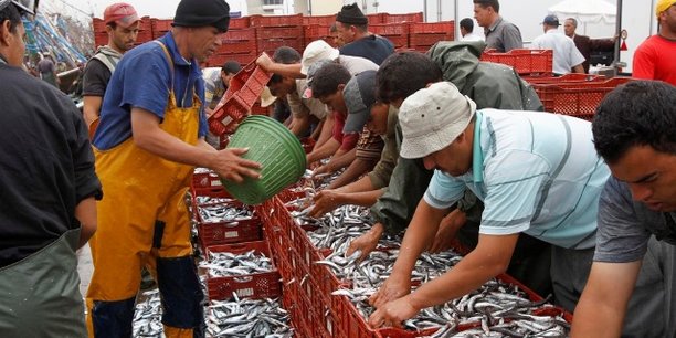 Maroc : une enquête nationale sur l’emploi fait l’effet d’une douche froide pour le gouvernement Maroc : une enquête nationale sur l’emploi fait l’effet d’une douche froide pour le gouvernement