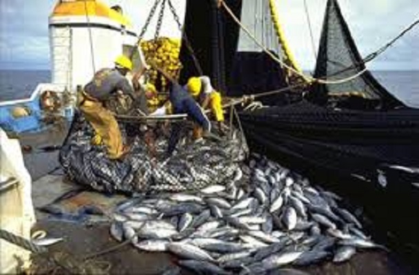 Sénégal : Repli de l’activité du secteur primaire en février 2018
