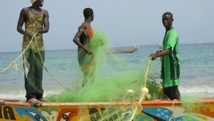 ​Sénégal : La croissance s’est établie à 6,2% en 2016
