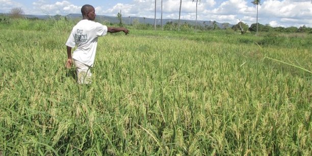Maroc : la BAD finance un programme de développement agricole à hauteur de 200 millions USD Maroc : la BAD finance un programme de développement agricole à hauteur de 200 millions USD