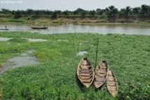 Fonds vert pour le climat : la FAO soutient une dizaine de projets en Afrique Fonds vert pour le climat : la FAO soutient une dizaine de projets en Afrique