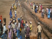 Insécurité alimentaire : Le plan d’urgence de résilience du Cnsa à Sédhiou Insécurité alimentaire : Le plan d’urgence de résilience du Cnsa à Sédhiou