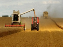 ​ Les polluants issus de l’agriculture représentent une menace sérieuse pour l’eau du monde entier