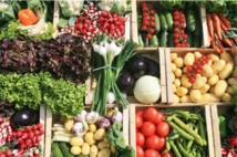 Repli de l'indice Harmonisé des prix à la Consommation du mois de juin de 1% Repli de l'indice Harmonisé des prix à la Consommation du mois de juin de 1%