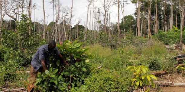Côte d'Ivoire : l’émergence hypothéquée par le changement climatique Côte d'Ivoire : l’émergence hypothéquée par le changement climatique