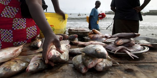 Pêche : l'UE se félicite d'un partenariat gagnant-gagnant avec le Gabon Pêche : l'UE se félicite d'un partenariat gagnant-gagnant avec le Gabon