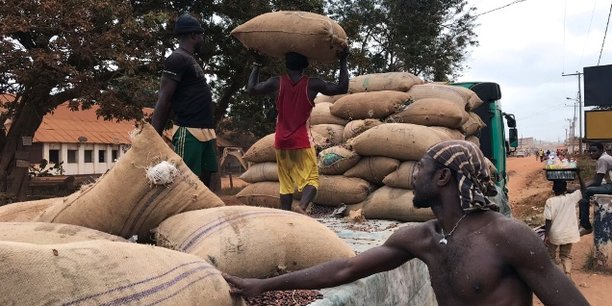 Cameroun : chute de 80% du commerce du cacao en raison de la crise sécessionniste Cameroun : chute de 80% du commerce du cacao en raison de la crise sécessionniste