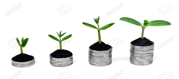 Des arbres qui poussent sur des pièces d'argent.