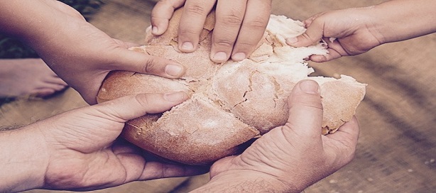 Création et partage de richesse. Création et partage de richesse.