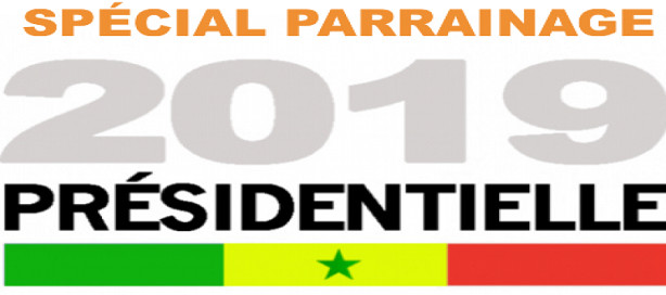 Les leçons du parrainage. Les leçons du parrainage.