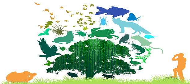 La FAO présente son dernier rapport relatif à l’état de la biodiversité mondiale pour l’alimentation et l’agriculture.