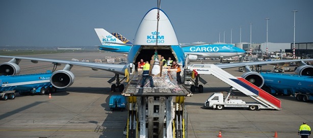 Air France KLM Cargo devient le premier groupe de compagnies aériennes à adopter Dg AutoCheck Air France KLM Cargo devient le premier groupe de compagnies aériennes à adopter Dg AutoCheck