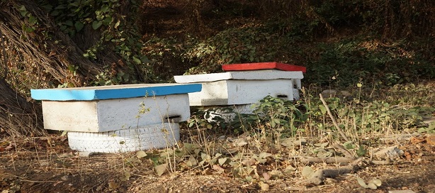 Du bleu, l’Ambassade de France au Sénégal vire au vert ! Du bleu, l’Ambassade de France au Sénégal vire au vert !