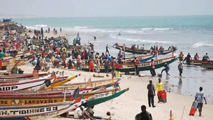 Débarquement de la pêche sénégalaise Débarquement de la pêche sénégalaise