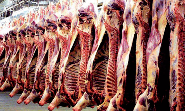 Sénégal : baisse des abattages contrôlés de viande, en variation trimestrielle